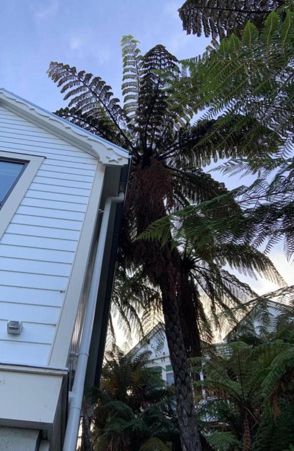 Tiny House In The Sky Hotel Dunedin Exterior photo